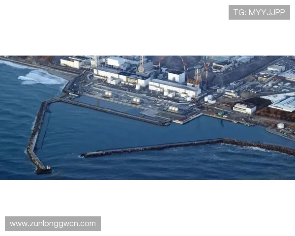 尊龙凯龙时官网进入最新入口更新信息及时掌握官方动态