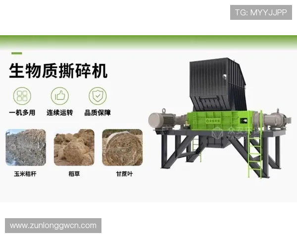 尊龙凯时平台免费版活动时间安排，掌握最新优惠与促销信息